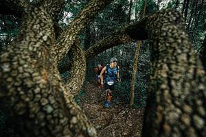 BIB: 
                            <button type="button" onclick="openModal(25392862)" class="btn btn-primary btn-sm float-right btn-popup" data-toggle="modal" data-target=".modal-high-quality">
                        <i class="fas fa-shopping-cart"></i> Add to Cart
                    </button>
                                            <button type="button" onclick="isThisMe(25392862, true)" class="btn btn-success btn-sm float-right btn-popup btn-isme hidden" data-toggle="tooltip" data-placement="bottom" title="นี่คือรูปของคุณใช่ไหม คลิกที่นี่เพื่อเอาเข้าอัลบั้ม">
                        <i class="fas fa-plus"></i> Add to album
                    </button>
                    <button type="button" onclick="isThisMe(25392862, false)" class="btn btn-warning btn-sm float-right btn-popup btn-isnotme hidden">
                        <i class="fas fa-ban"></i> Remove from album
                    </button>